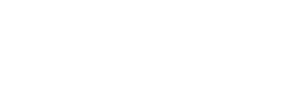 Lincolnshire County Council logo
