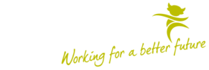 Lincolnshire County Council
