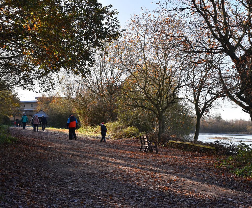 Winter Walk at Whisby