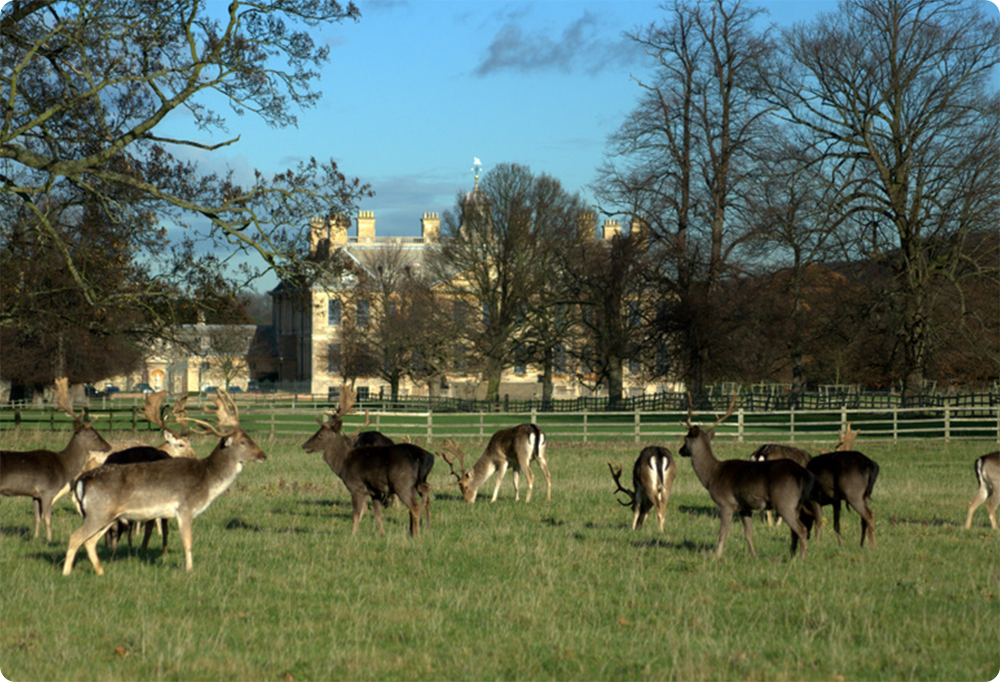 Kesteven & Newark (Notts)
