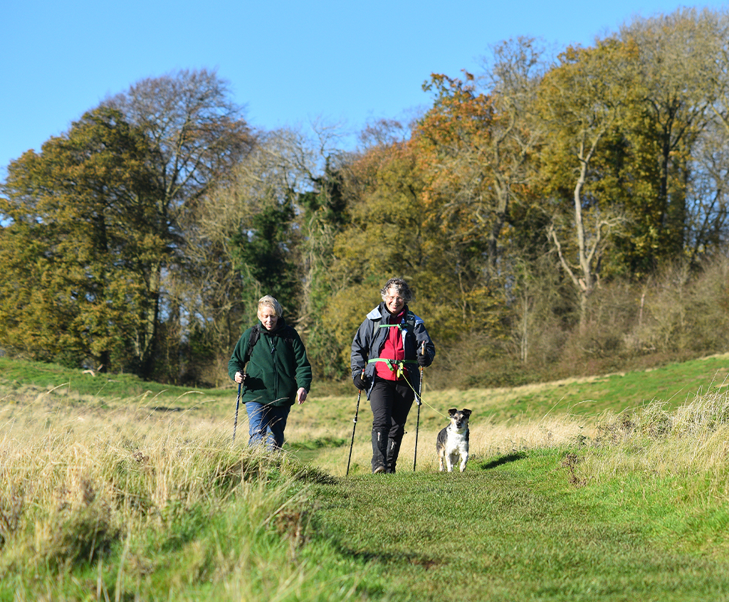 Walk and explore